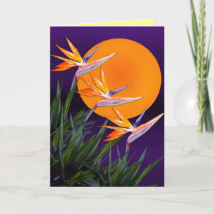 Carte Oiseau de paradis