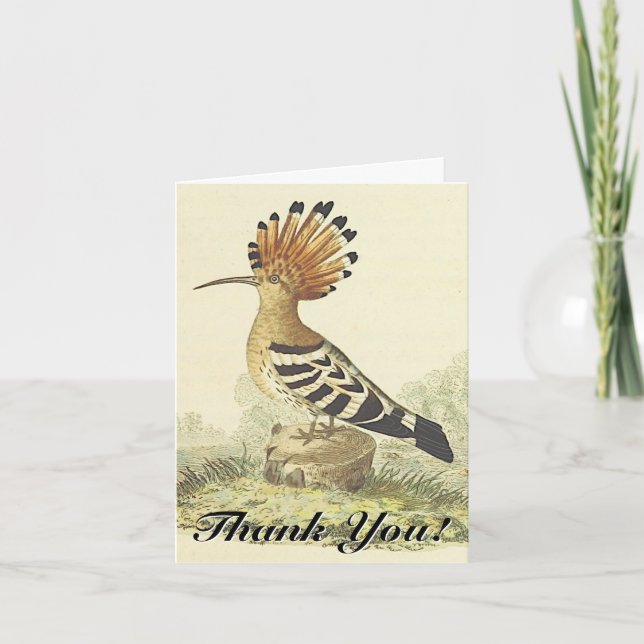 Carte Oiseau debout, style Vintage, "Merci !" (Devant)