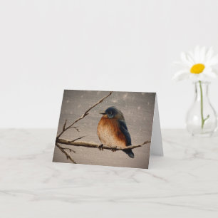 Carte Oiseau d'hiver