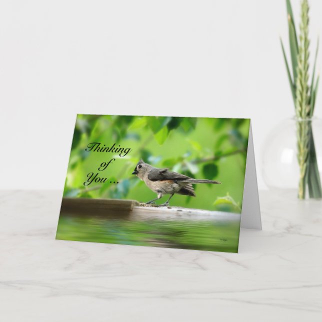Carte Oiseau drôle - en pensant à vous cardez (Devant)