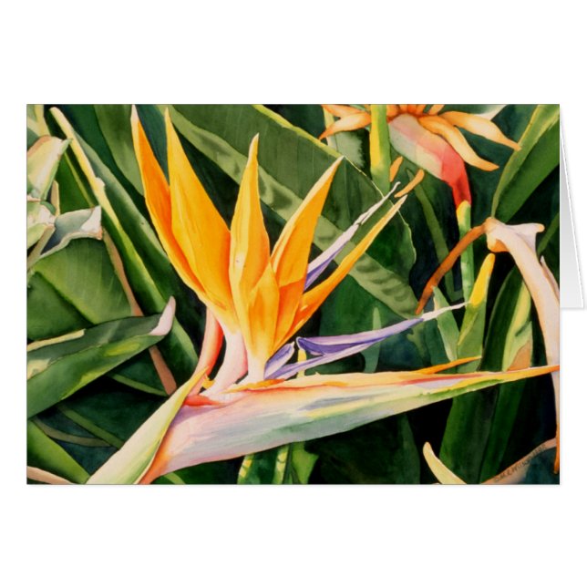 Carte Oiseau du Paradis (Devant horizontal)