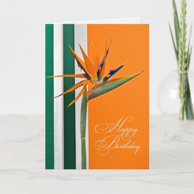Carte Oiseau du Paradis Anniversaire (Devant)