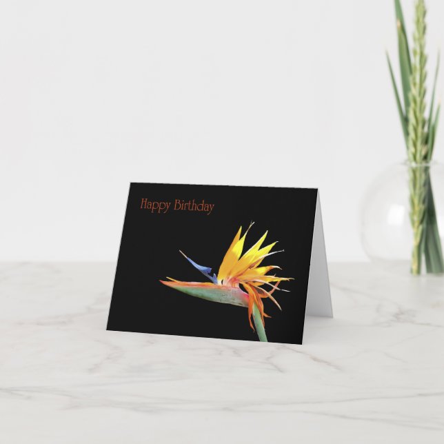 Carte Oiseau du Paradis Joyeux anniversaire (Devant)