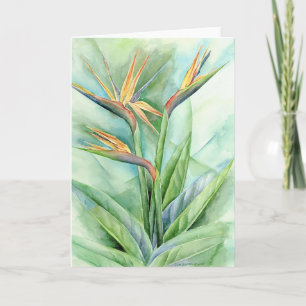 Carte Oiseau Fleur Tropical De Peinture Paradisiaque - M