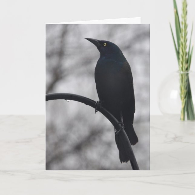Carte Oiseau noir (Devant)