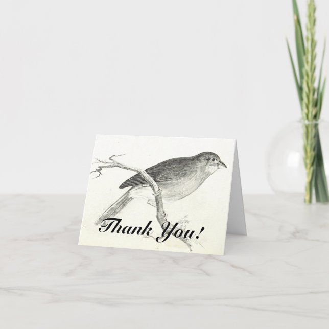Carte Oiseau perché sur une branche, "Merci !" (Devant)
