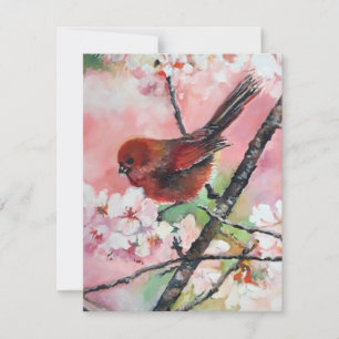 Carte Oiseau roux en fleurs de cerisiers