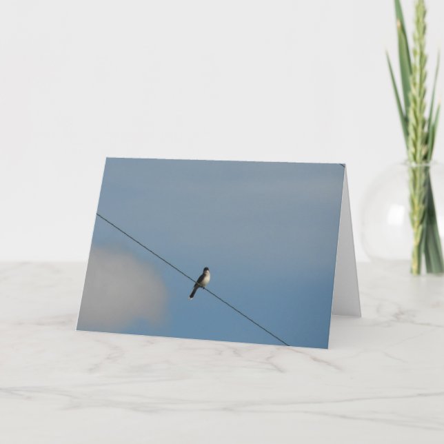 Carte Oiseau sur fil Toutes les occasions (Devant)