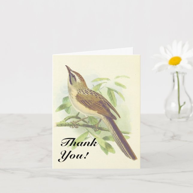 Carte Oiseau sur une branche d'arbre, "Merci !" (Petite plante)