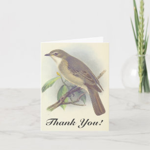 Carte Oiseau sur une branche, "Merci !" Vintage