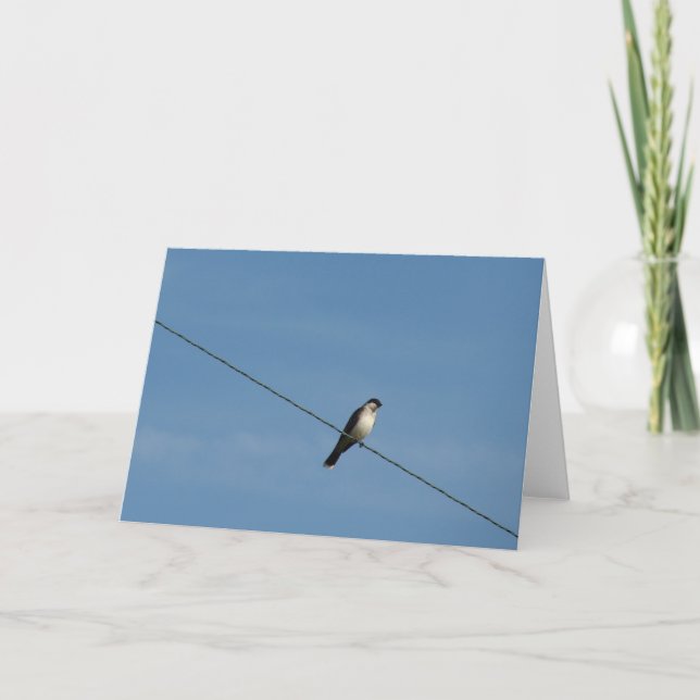 Carte Oiseau sur une photo de fil (Devant)