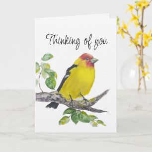 Carte Oiseau Tanager Occidental à l'aquarelle en pensant