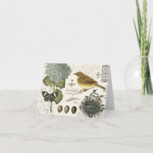 Carte oiseau vintage et nid