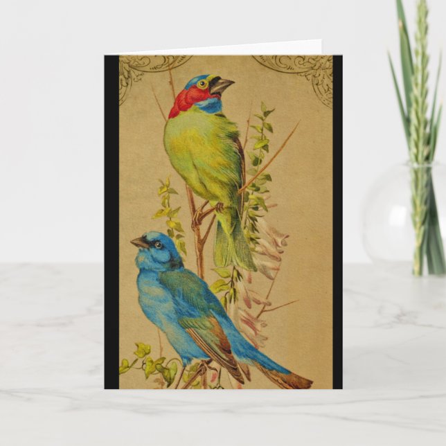 Carte Oiseaux colorés (Devant)