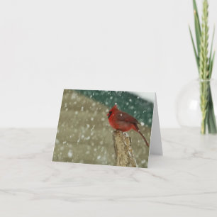 Carte Oiseaux de neige
