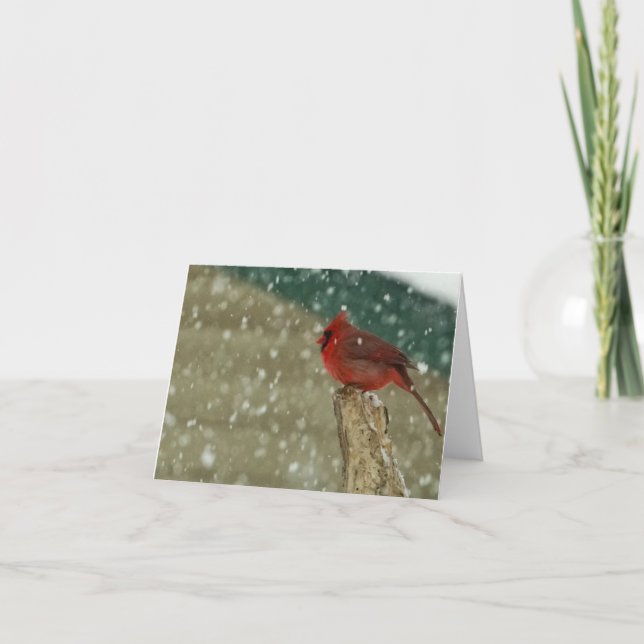 Carte Oiseaux de neige (Devant)