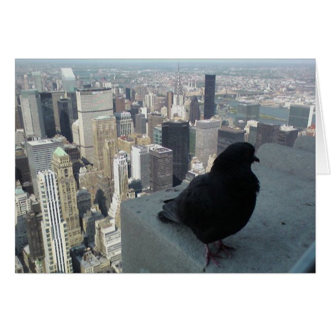 Carte Oiseaux de New York (Devant horizontal)