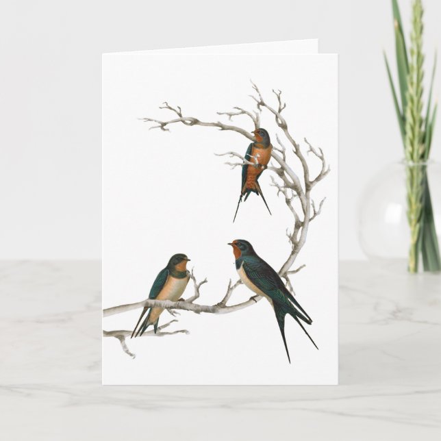 Carte Oiseaux d'hirondelle sur une branche nue (Devant)