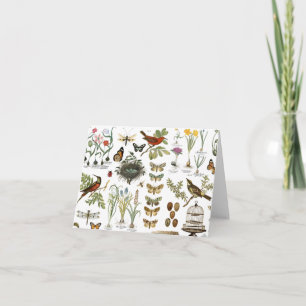 Carte oiseaux et fleurs vintages