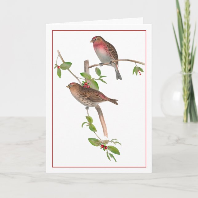 Carte Oiseaux rouges sur une branche de Berry (Devant)