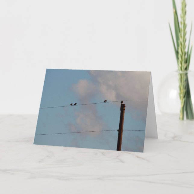 Carte Oiseaux sur fil (Devant)