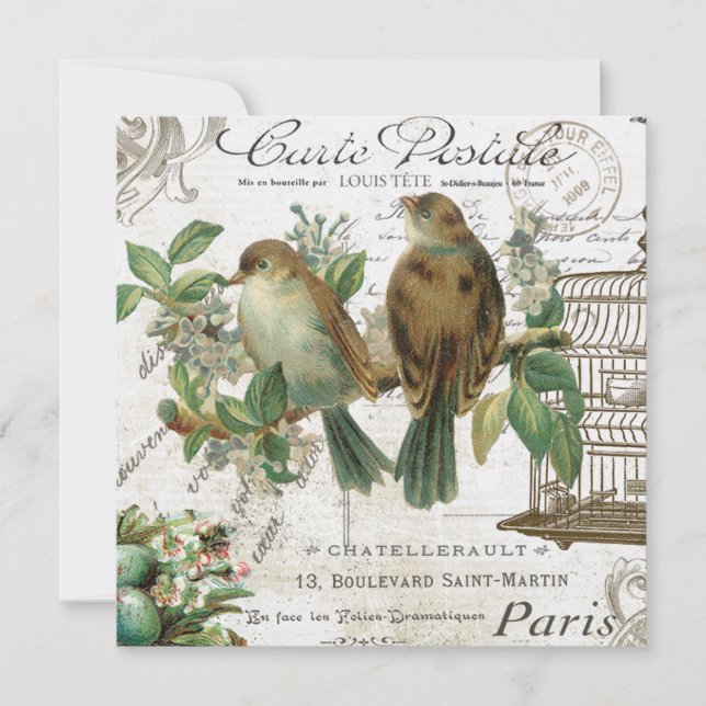 Carte Oiseaux Vintages et volières (Devant)