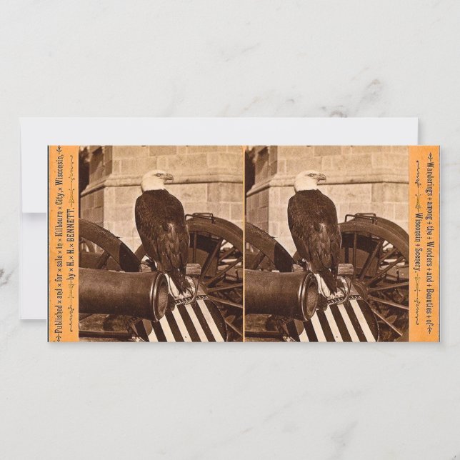 Carte Old Abe, Aigle de guerre du Wisconsin - Stereoview (Devant)
