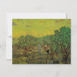 Carte Olivier Grove avec les chiffres de cueillette, Vin