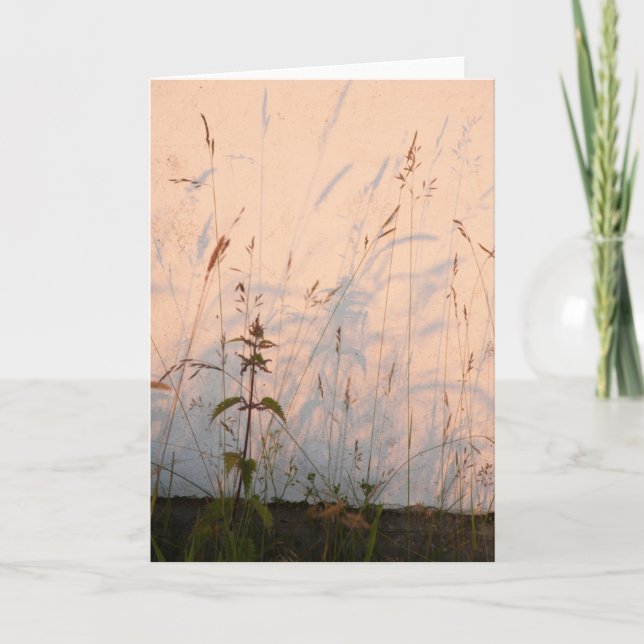 Carte Ombres de l'herbe (Devant)