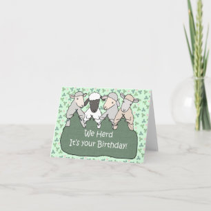 Carte On a fait rire ton tricot d'anniversaire