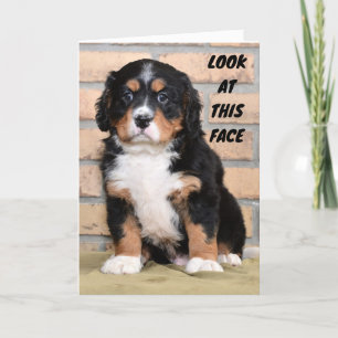 CARTE ON NE PEUT PAS LE DIRE EN PERSONNE SI TRISTE