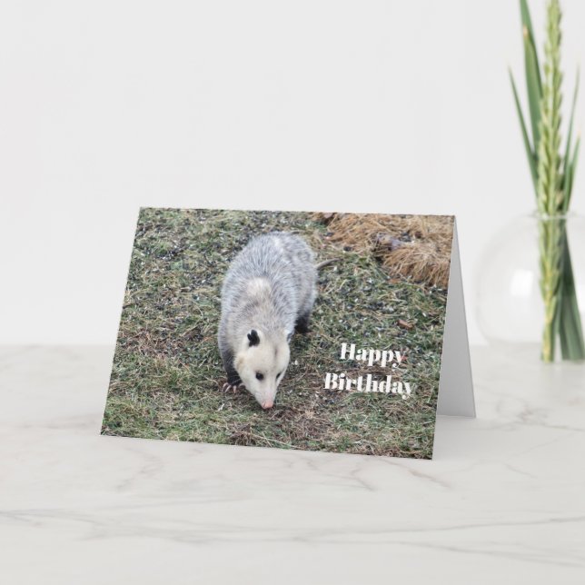 Carte Opossum Photo Anniversaire (Devant)