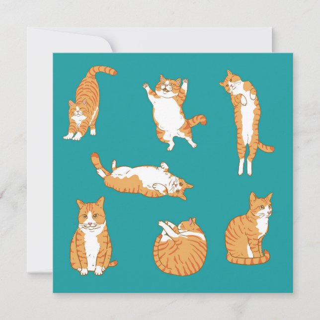 Carte Orange Cats drôle Anniversaire (Devant)