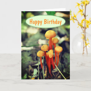 Carte Orange Champignons Nature Anniversaire 