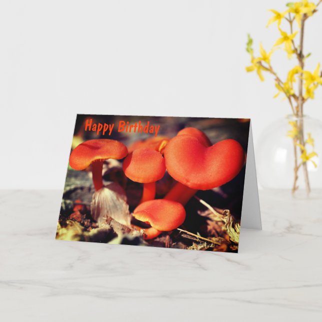 Carte Orange Champignons rouges Nature Anniversaire (Fleur jaune)