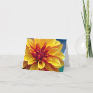 Carte Orange Dahlia Greeting Card
