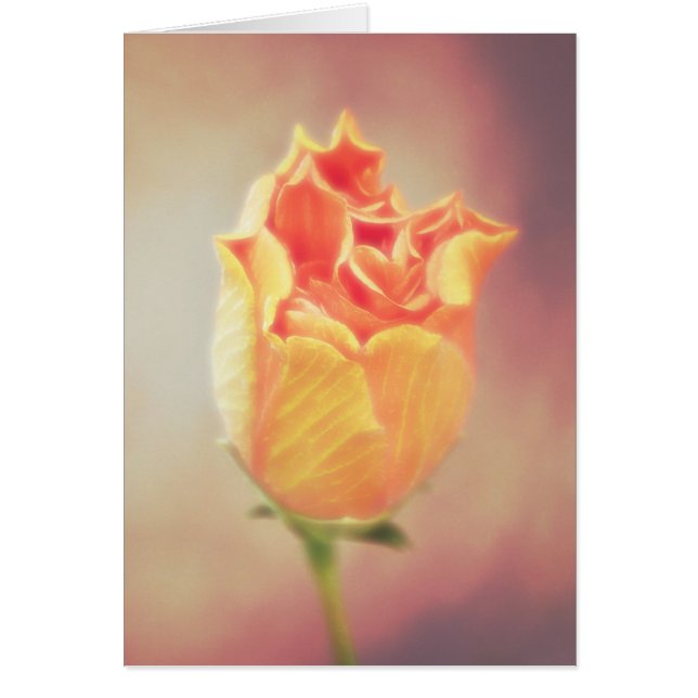 Carte Orange Hibiscus Flower Bloom (Devant)