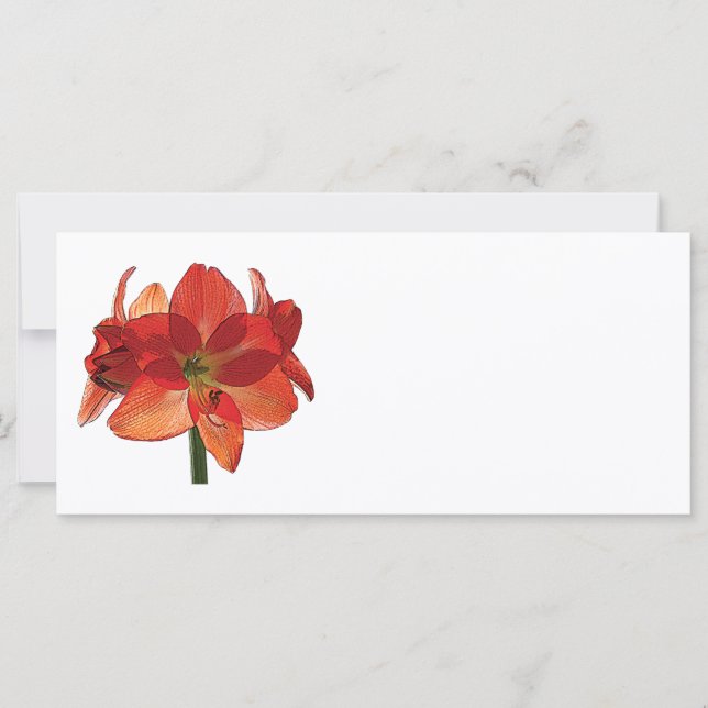 Carte Orange Hippeastrum Amaryllis (Devant)