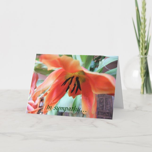 Carte Orange Lily Sympathy (Devant)