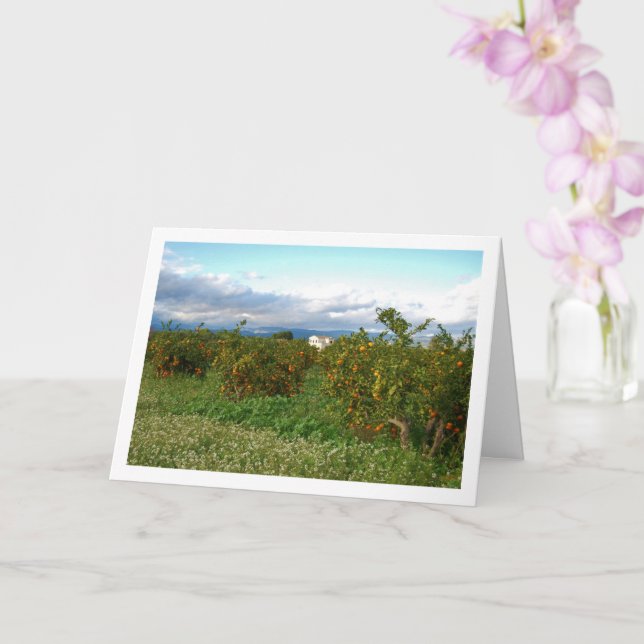 Carte Orange Orchard, Valence, Espagne (Orchidée)