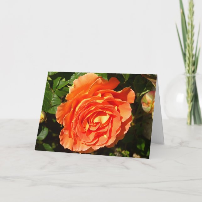 Carte Orange Rose I Plutôt Floral (Devant)