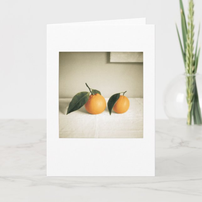 Carte Oranges de jardin à vie blanche Salutation (Devant)