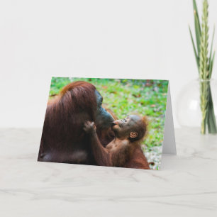 Carte Orangutan