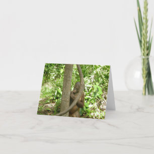 Carte Orangutan Appréciation Day Hommage