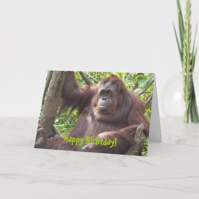 Carte Orangutan Joyeux Anniversaire ! (Devant)