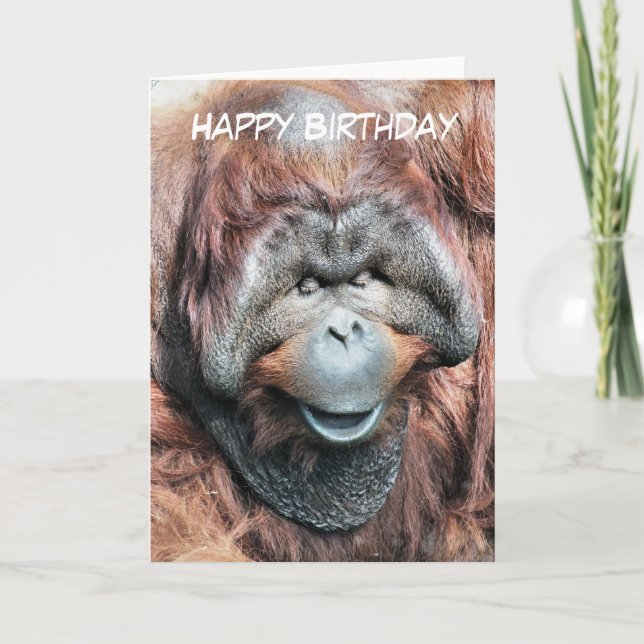 CARTE ORANGUTANS (Devant)