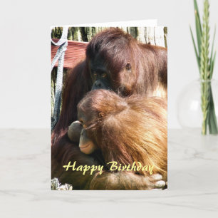 CARTE ORANGUTANS