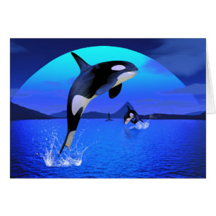 Carte Orca