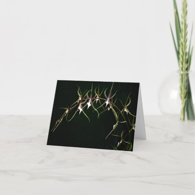 Carte Orchidée (Devant)