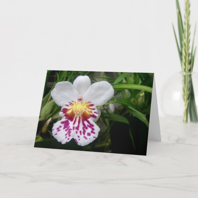 Carte Orchidée (Devant)